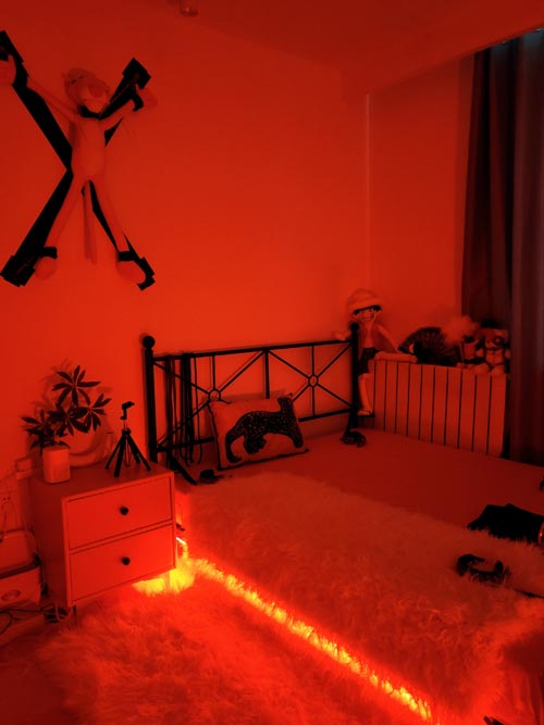 北京京都专业资深SM女主 伽黎majesty