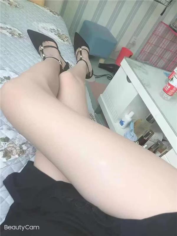 甘肃兰州小花猫体验