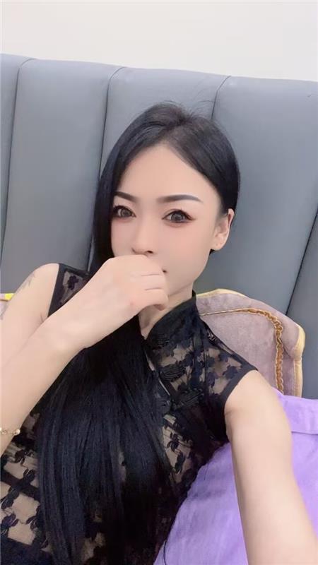 甘肃兰州小花猫体验