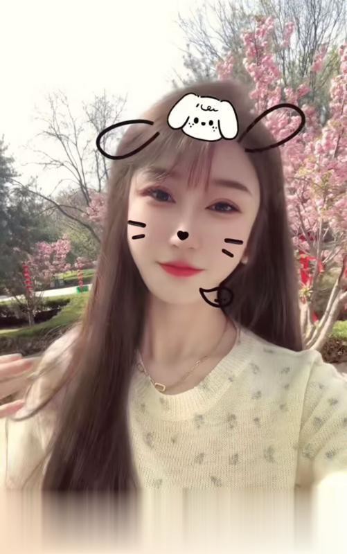 江苏-苏州太仓糖宝外围